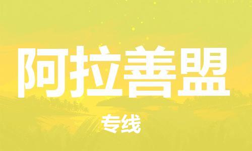天津到阿拉善盟货运公司_天津到阿拉善盟物流专线_天津到阿拉善盟货运专线