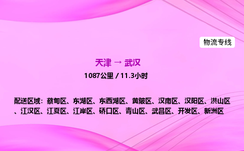 天津到武汉物流公司-天津至武汉物流专线-批发商货物运输专线