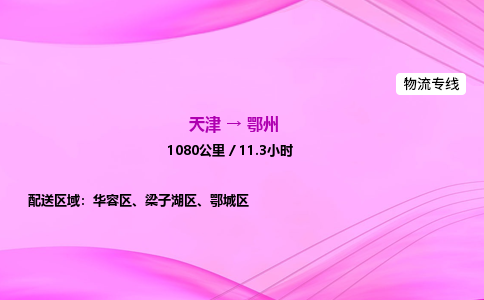 天津到鄂州物流公司-天津至鄂州物流专线-物流专线全境派送