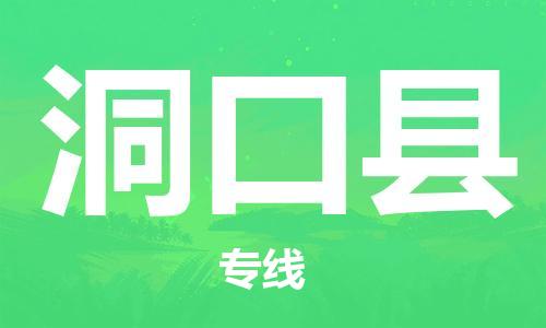 天津到洞口县物流专线-天津至洞口县货运公司电子产品运输专线