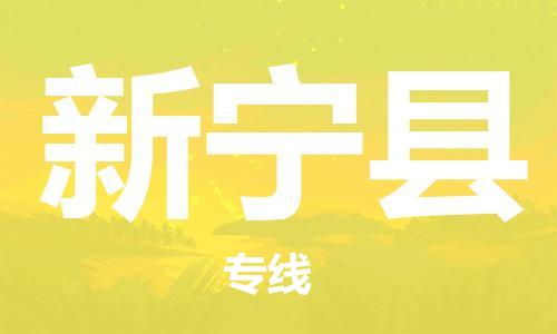 天津到新宁县物流公司-天津至新宁县专线「行李托运专线」