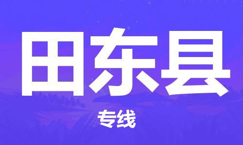 天津到田东县物流专线-天津至田东县货运公司电子产品运输专线