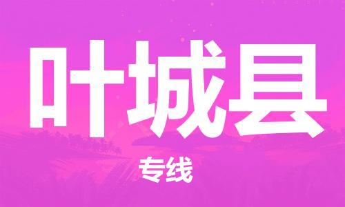 天津到叶城县物流专线-天津到叶城县货运公司-价格从优「全境闪送」