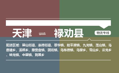 天津到禄劝县物流专线-天津到禄劝县货运公司-价格从优「高效运输」