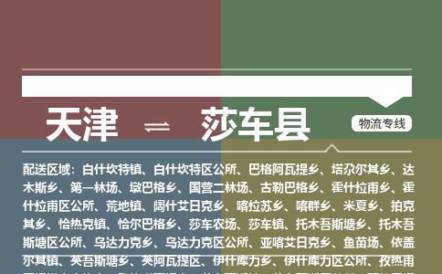 天津到莎车县物流公司-天津至莎车县货运专线日用品运输专线