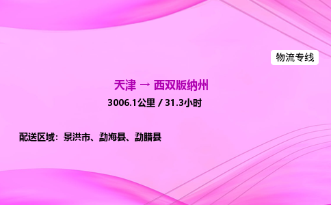 天津到西双版纳州物流公司-天津至西双版纳州物流专线-零担运输专线