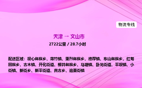天津到文山市物流专线-【快速安全的】天津至文山市货运公司