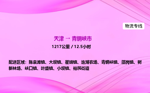 天津到青铜峡市物流专线-【快速安全的】天津至青铜峡市货运公司