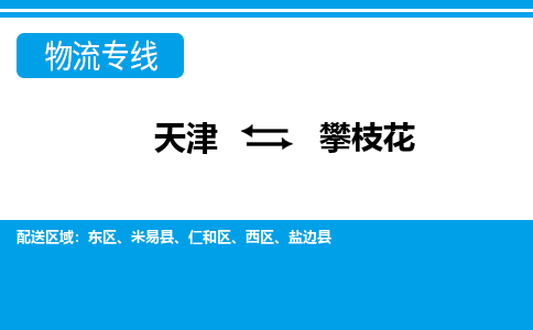 天津到攀枝花物流公司-天津至攀枝花货运专线「诚信经营」