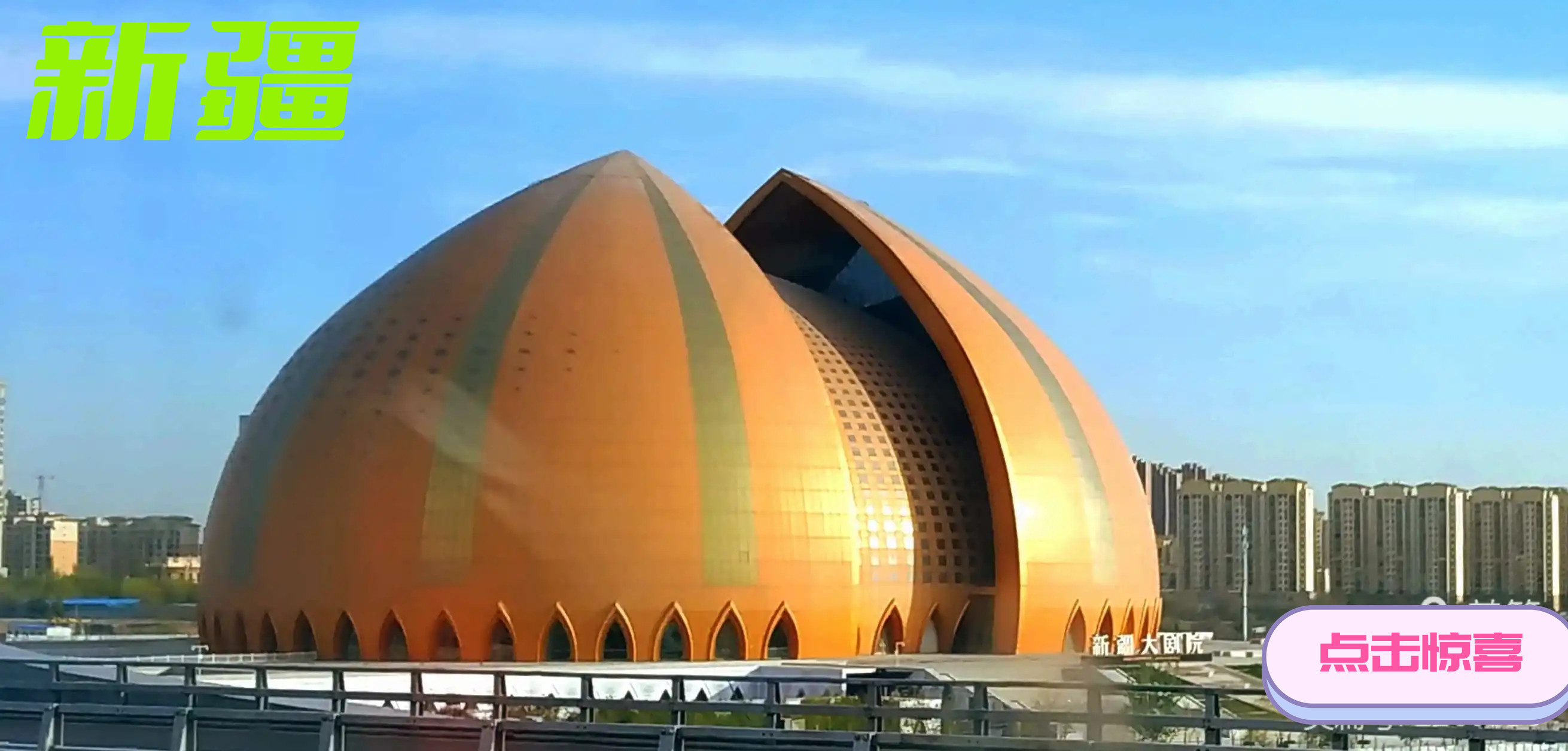 天津到石河子货运公司 天津到石河子货运公司